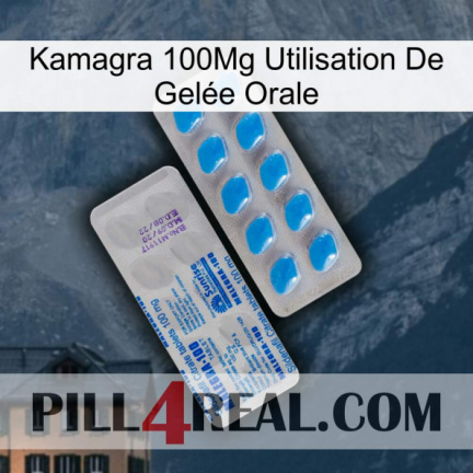Kamagra 100Mg Utilisation De Gelée Orale new15